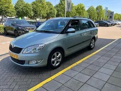 Groen Gebruikt 2010 Skoda Fabia GreenLine Stationwagen | € 2.950 (Iets duurder)