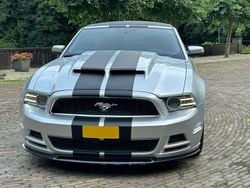 Grijs Gebruikt 2014 Ford Mustang Cabriolet | € 19.990 (Super prijs)