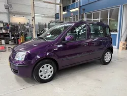 Paars Gebruikt 2010 Fiat Panda Hatchback | € 2.550 (Eerlijke prijs)