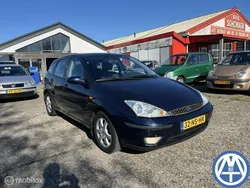 Blauw Gebruikt 2004 Ford Focus Hatchback | € 1.750 (Eerlijke prijs)
