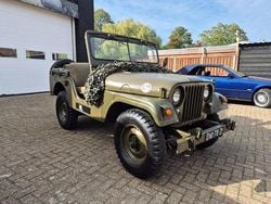 Groen Gebruikt 1959 Jeep Willys | € 12.950
