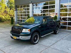 Groen Gebruikt 2004 Ford V8 Lariat Van | € 9.700