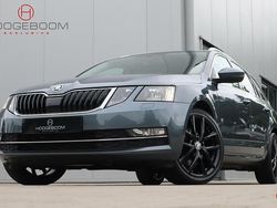 Grijs Gebruikt 2017 Skoda Octavia Style Stationwagen | € 15.900