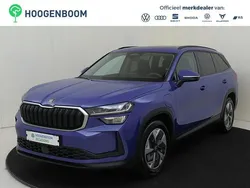 Blauw Gebruikt 2024 Skoda Kodiaq Business Line SUV | € 47.950