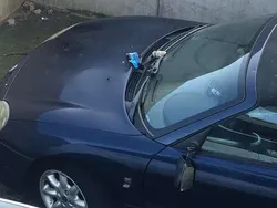 Blauw Gebruikt 2003 MG TF Cabriolet | € 1.250