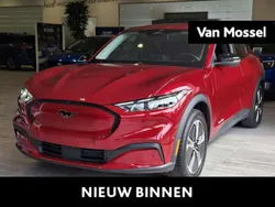 Rood Nieuw 2024 Ford Mustang Mach-E SUV | € 44.970 (Eerlijke prijs)