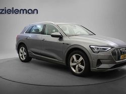 Grijs Gebruikt 2020 Audi e-tron Business SUV | € 20.845 (Super prijs)