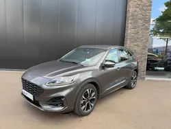 Grijs Gebruikt 2024 Ford Kuga ST-Line X SUV | € 35.900 (Goede deal)