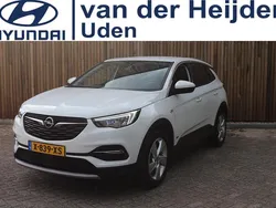 Wit Gebruikt 2021 Opel Grandland X Business Edition SUV | € 19.450 (Super prijs)