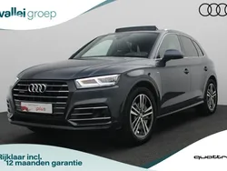 Grijs Gebruikt 2020 Audi Q5 Competition SUV | € 41.900 (Super prijs)