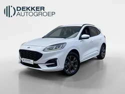 Wit Gebruikt 2024 Ford Kuga ST-Line SUV | € 33.945 (Duur)