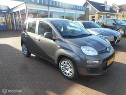 Grijs Gebruikt 2020 Fiat Panda Easy Hatchback | € 11.945 (Eerlijke prijs)
