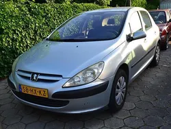 Grijs Gebruikt 2002 Peugeot 307 Hatchback | € 750 (Eerlijke prijs)