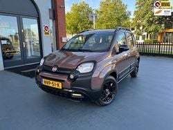 Bruin Gebruikt 2019 Fiat Panda Cross Cross Hatchback | € 14.850 (Iets duurder)
