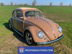 Bruin Gebruikt 1957 VW Beetle | € 13.800