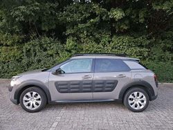 Bruin Gebruikt 2016 Citroën C4 Cactus Shine Edition Hatchback | € 5.700 (Eerlijke prijs)