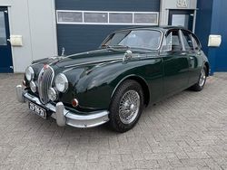Gebruikt 1963 Jaguar MK II Sedan | € 45.450