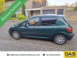 Groen Gebruikt 2001 Peugeot 307 Hatchback | € 1.450 (Eerlijke prijs)
