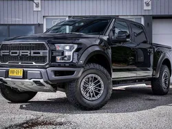 Zwart Gebruikt 2021 Ford F-150 Raptor Pickup | € 67.500 (Super prijs)
