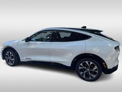 Wit Gebruikt 2021 Ford Mustang SUV | € 29.999