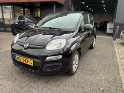 Zwart Gebruikt 2017 Fiat Panda Hatchback | € 5.795 (Goede deal)