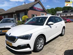 Wit Gebruikt 2020 Skoda Scala Business Line Hatchback | € 22.940 (Duur)
