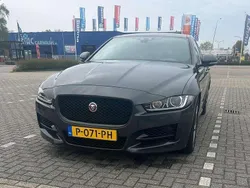 Grijs Gebruikt 2019 Jaguar XE R-Sport Sedan | € 22.000 (Eerlijke prijs)