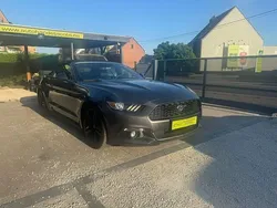 Grijs Gebruikt 2017 Ford Mustang Cabriolet | € 29.950 (Super prijs)