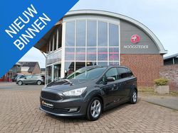Grijs Gebruikt 2018 Ford Grand C-Max Titanium MPV | € 14.950 (Iets duurder)