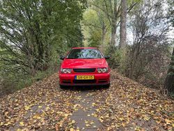 Rood Gebruikt 1998 VW Polo Hatchback | € 1.000 (Goede deal)