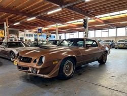 Bruin Gebruikt 1979 Chevrolet Camaro | € 13.950