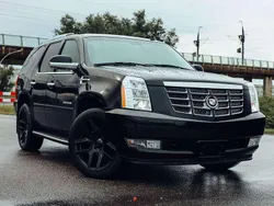 Zwart Gebruikt 2008 Cadillac Escalade SUV | € 24.800