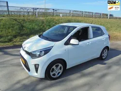Wit Gebruikt 2019 Kia Picanto Hatchback | € 8.999 (Goede deal)
