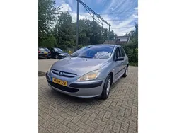 Grijs Gebruikt 2001 Peugeot 307 Hatchback | € 1.000 (Goede deal)