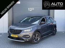 Grijs Gebruikt 2020 Opel Grandland X Edition SUV | € 15.445 (Eerlijke prijs)