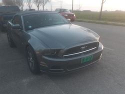 Grijs Gebruikt 2014 Ford Mustang GT Cabriolet | € 20.999