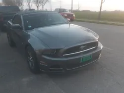 Grijs Gebruikt 2014 Ford Mustang GT Cabriolet | € 20.999