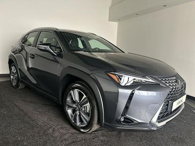 Grijs Nieuw 2025 Lexus UX 300e Luxury Line SUV | € 34.450