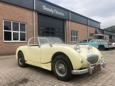 tweedehands Austin Healey Sprite Mk1