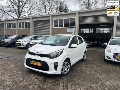 Occasion Kia Picanto Comfort 67 PK (49 kW) 2021 Wit Hatchback