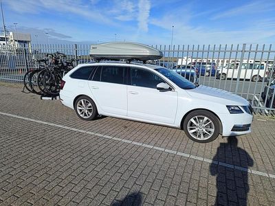 Wit (metallic) Gebruikt 2019 Skoda Octavia Business Line Stationwagen | € 15.000 (Eerlijke prijs)