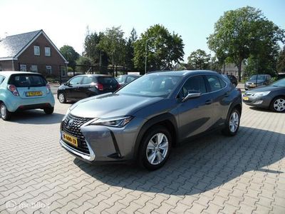 tweedehands Lexus UX 250h Comfort Line Camera Navi Fabrieksgarantie