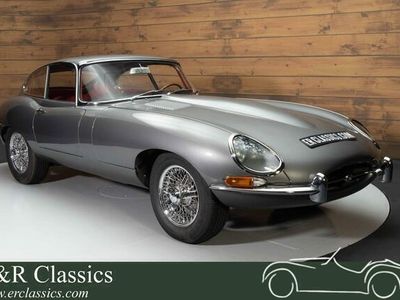 tweedehands Jaguar E-Type S1 Coupe| Gerestaureerd | Concoursstaat | 1964