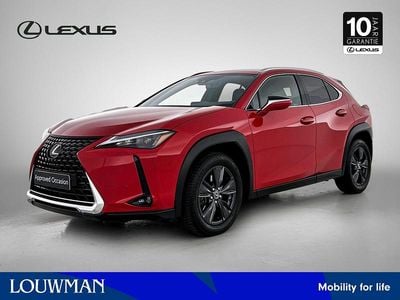 Rood Occasion 2025 Lexus UX Luxury Line SUV | € 37.400
