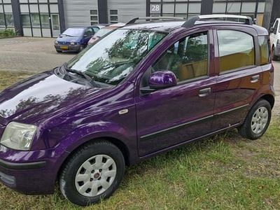 Paars Occasion 2011 Fiat Panda Hatchback | € 2.450 (Eerlijke prijs)