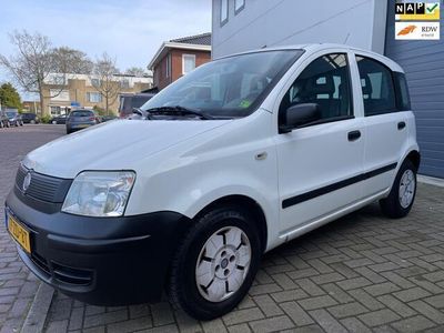 tweedehands Fiat Panda 1.1 Active/1jaar APK/Goed-onderhouden/Nap