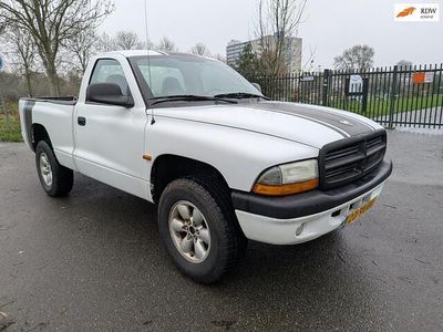 Wit Gebruikt 2003 Dodge Dakota Pickup | € 4.995