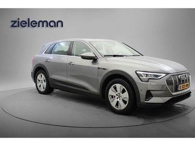 Grijs (metallic) Occasion 2020 Audi e-tron SUV | € 24.845 (Super prijs)