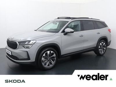 Grijs Occasion 2025 Skoda Kodiaq Business Line SUV | € 49.840 (Iets duurder)