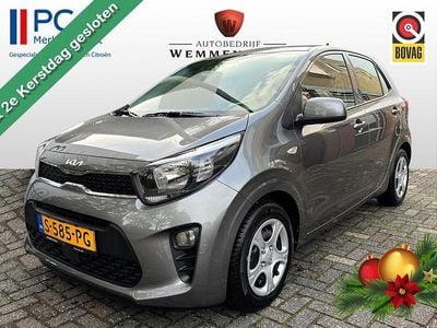 Grijs Gebruikt 2023 Kia Picanto Comfort Hatchback | € 12.595 (Goede deal)